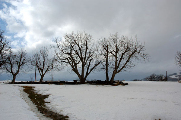 © Hrayr Galoyan - Waiting for Spring 1