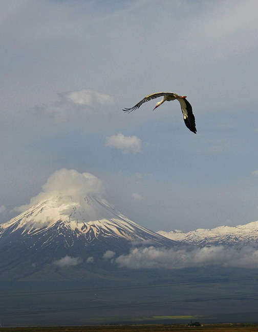 © Suren Manvelyan - Символы