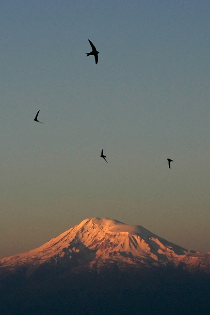 © Suren Manvelyan - Ловитки над вечностью