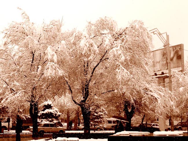 © Hasmik Grigoryan - Yerevan.am:)