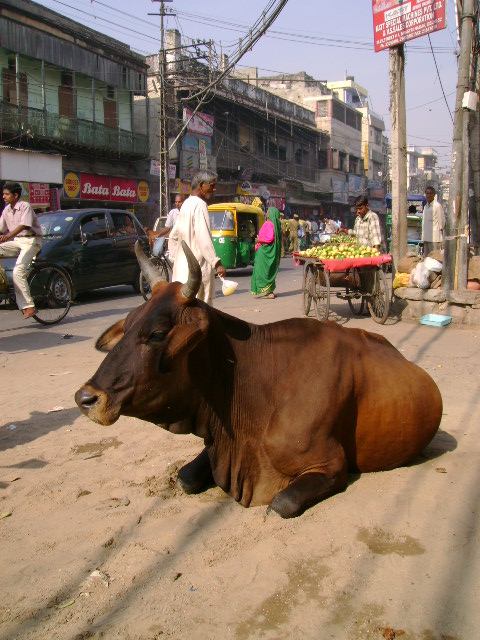 © Hayk - Old Delhi