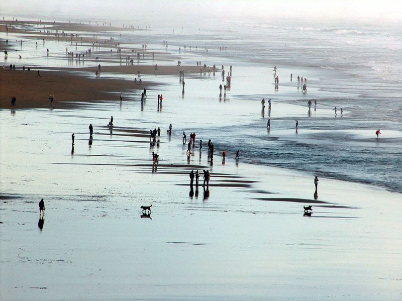 © Avetis Sanasaryan - Beach of San Francisco