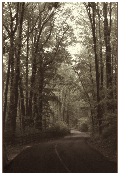 © Hmayak Ghazaryan - Ashton - Road through the forest