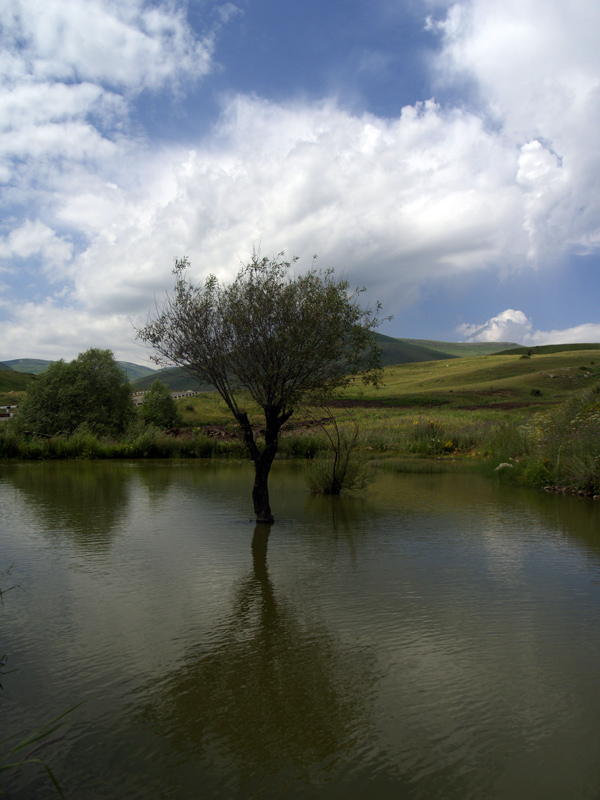 © Hovhannes Hovhannisyan - Одиночество