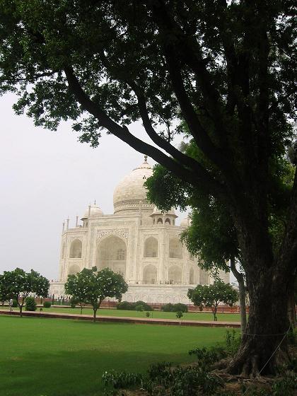 © Mark Mirzoyan - Taj