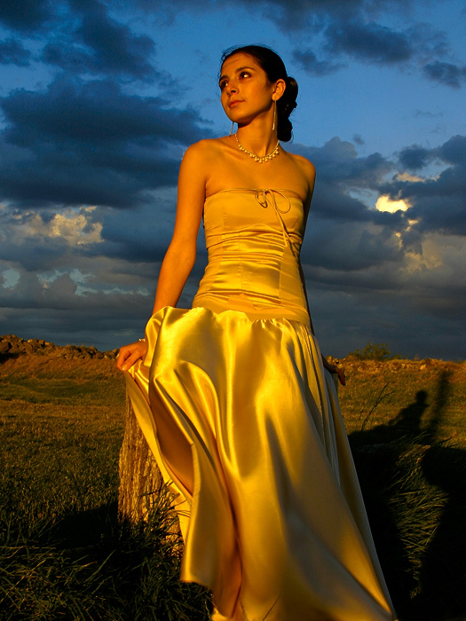 © Suren Manvelyan - Evening dress