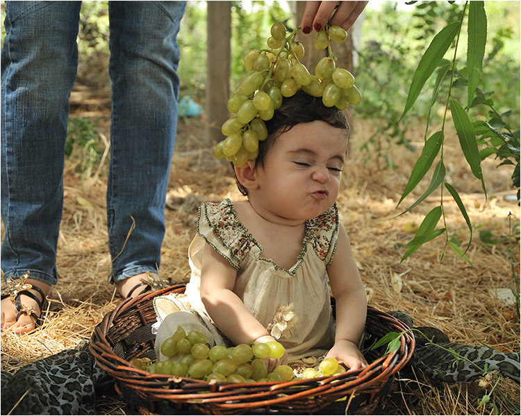 © Senekerimyan Hayk - In the basket 2