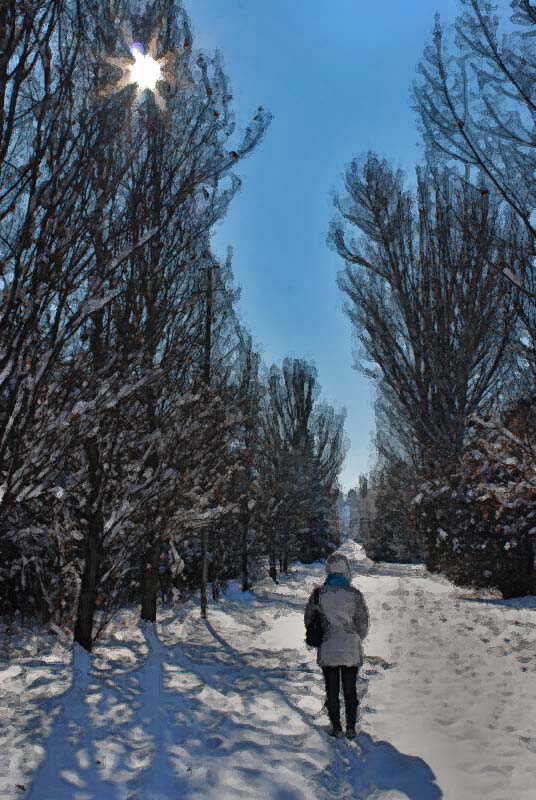 © Aram Hayrapetyan - snezhnoe odinochestvo