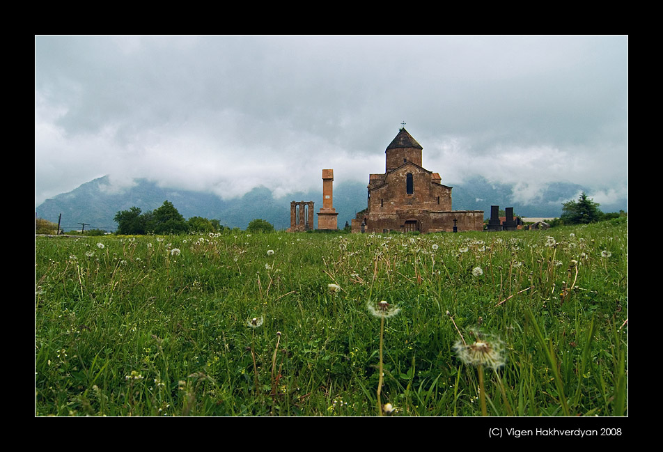 © Vigen Hakhverdyan - Одуванчики...