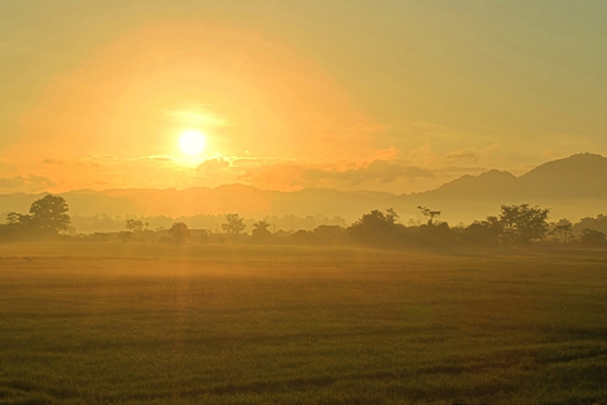 © Em Kay - A Misty Morning in The Rice Paddies