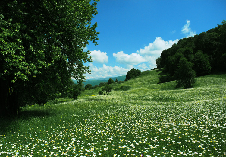 © Hayk Shalunts - долина белизны.