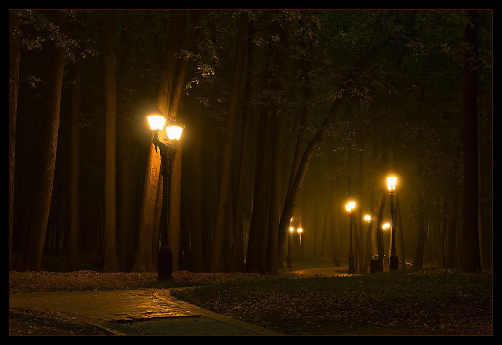 © Oleg Dmitriev - mystic evening