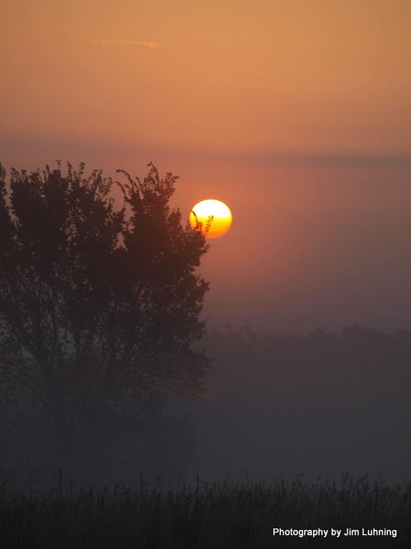 © Jim Luhning - Misty Morning Hop!