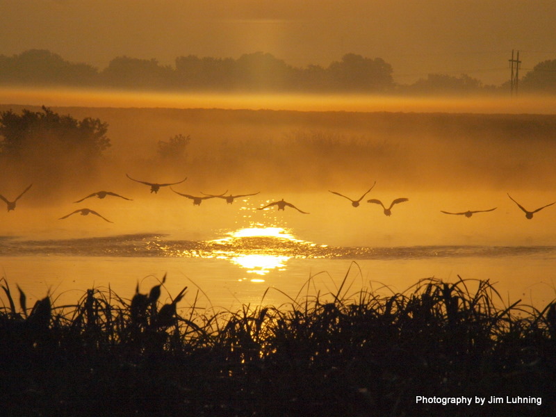 © Jim Luhning - Early Morning Flight