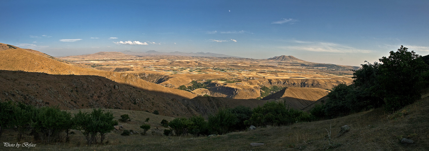 © Tigran Biface Lorsabyan - Հայկական Կոլորադո՞