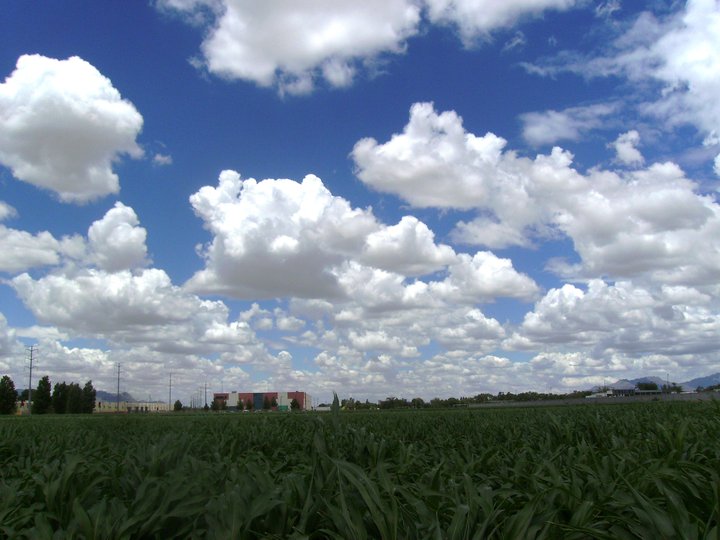 © Miguel Ramírez - Clouds