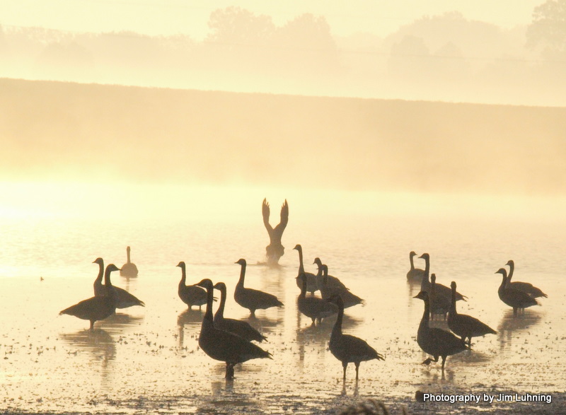 © Jim Luhning - Cleared for Takeoff