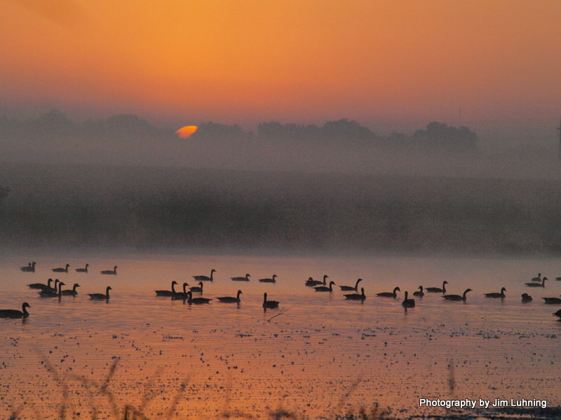 © Jim Luhning - The Flock @ Sunrise