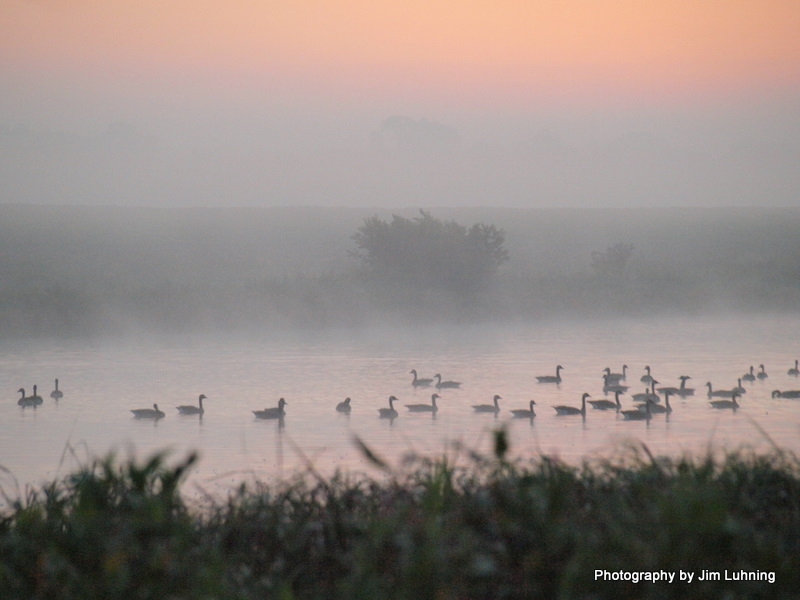 © Jim Luhning - A Beautiful Morning