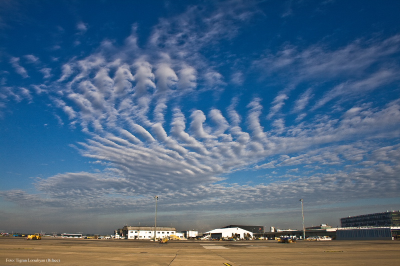 © Tigran Biface Lorsabyan - Wiener Flughafen