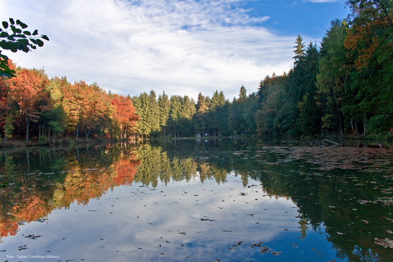 © Tigran Biface Lorsabyan - Herbst kommt