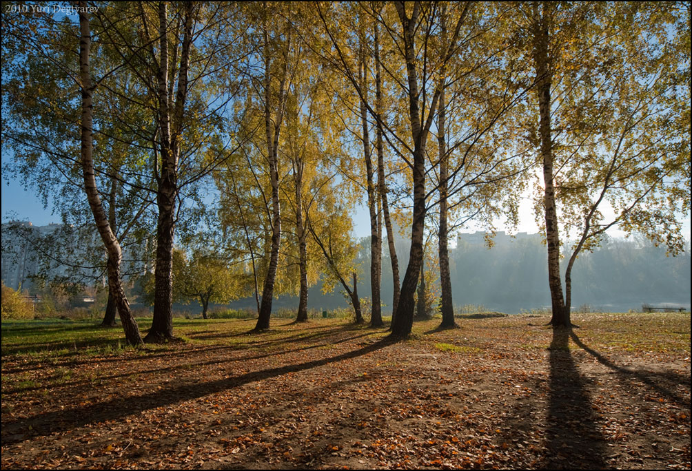 © Юрий Дегтярёв ( Yuri Degtyarev ) - - Осень в Балашихе. -