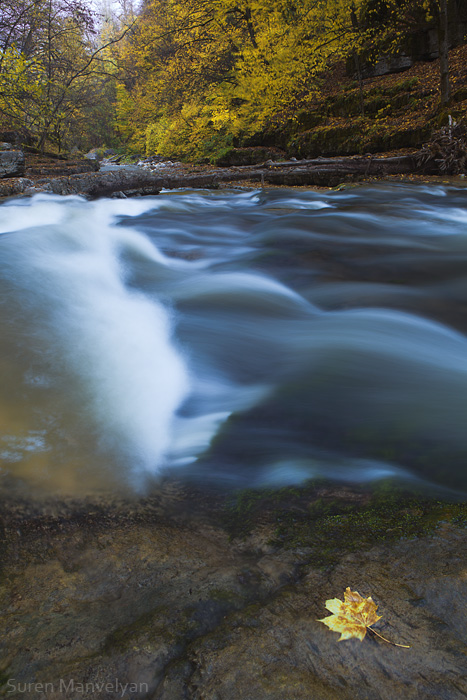 © Suren Manvelyan - In the stream