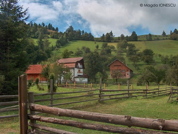 © Magda Ionescu - Peisaj Bran - Romania