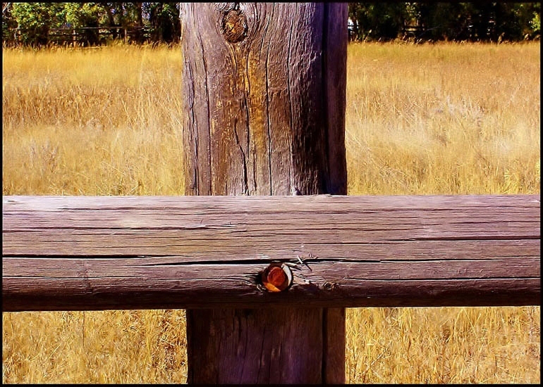 © Heidi Cook - Fence Cross