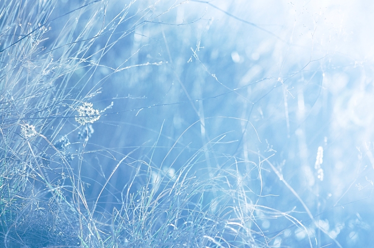 © Hayk Shalunts - blue morning