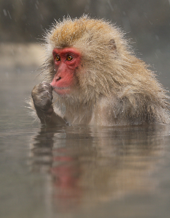 © Harry Eggens - Let Me Think