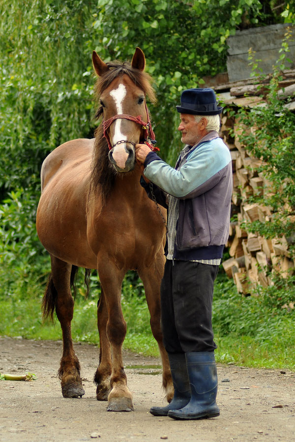 © moldovan marin - *