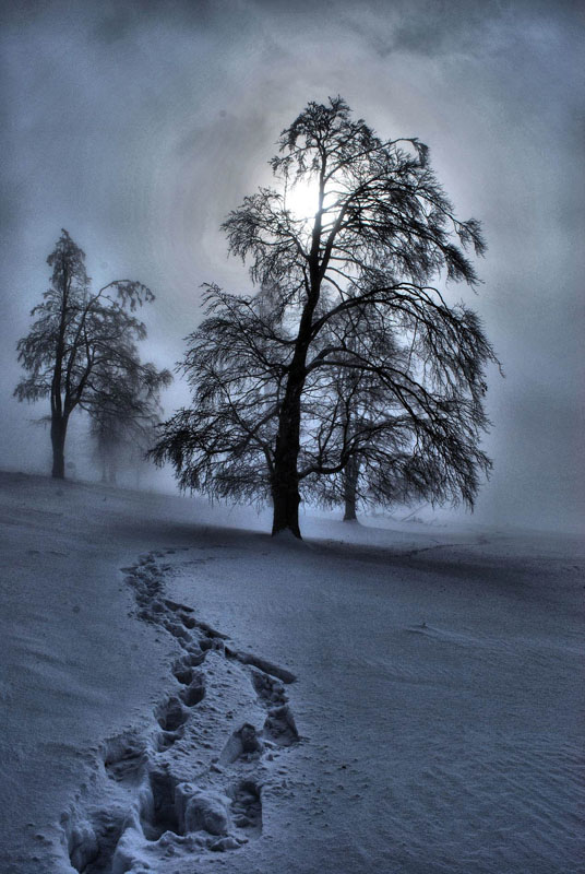 © muresan andrei - nature of ice