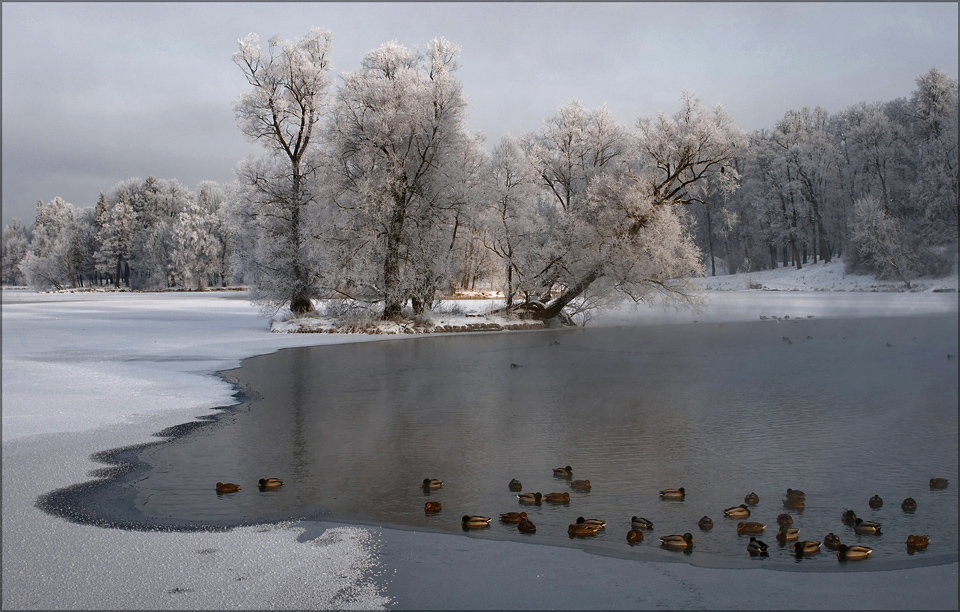 © Роман Носков - Седое утро