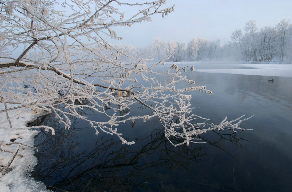 © Роман Носков - winter morning