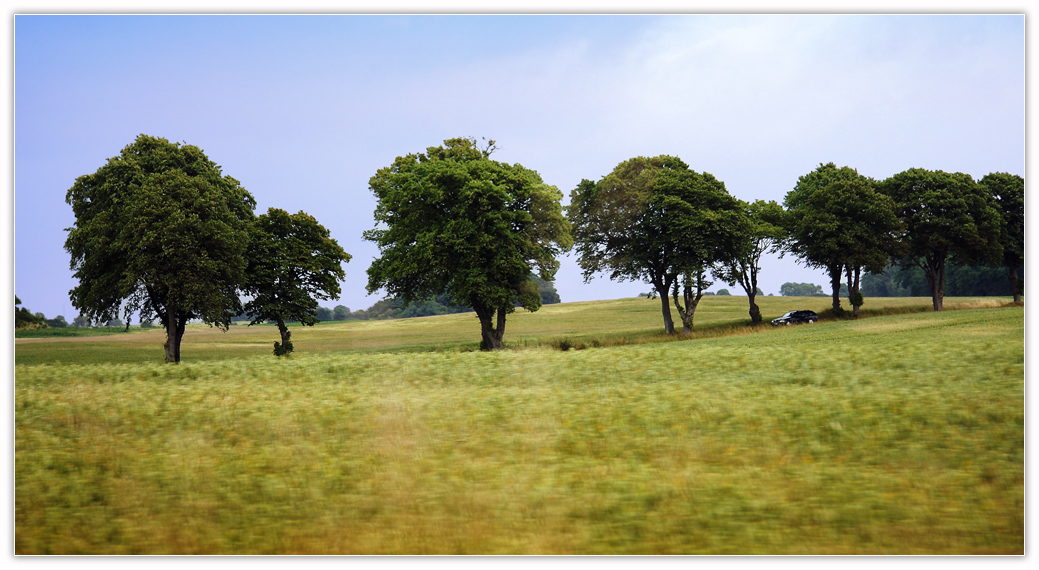 © Morten - From a passing car