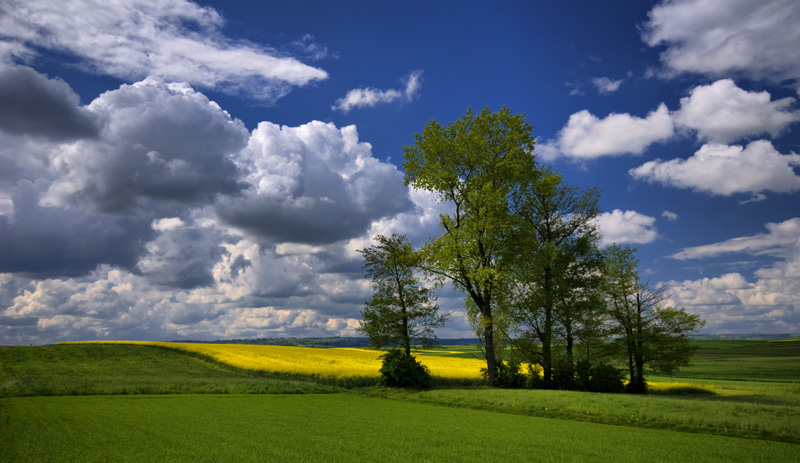 © Pedro SK - spring time...