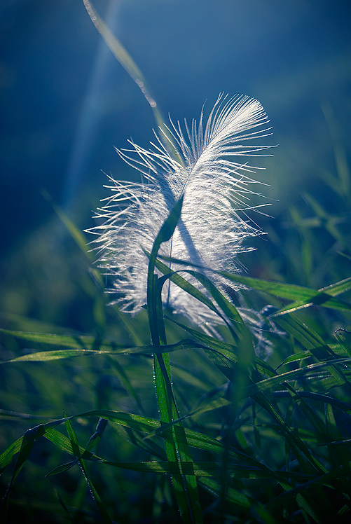 © Karen Khontyan - beauty of nature