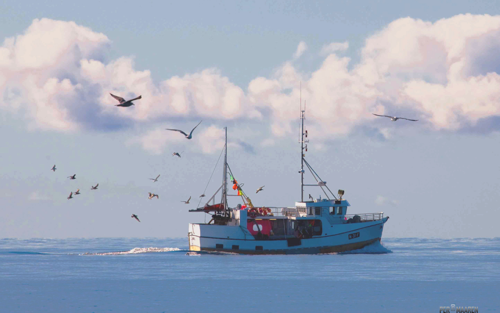 © Per Maaren - Traditional Fishingboat