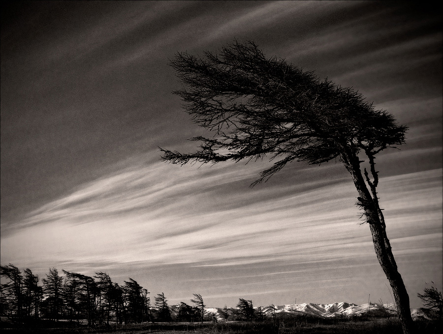 © Evgeny Trufanov - ..windy place