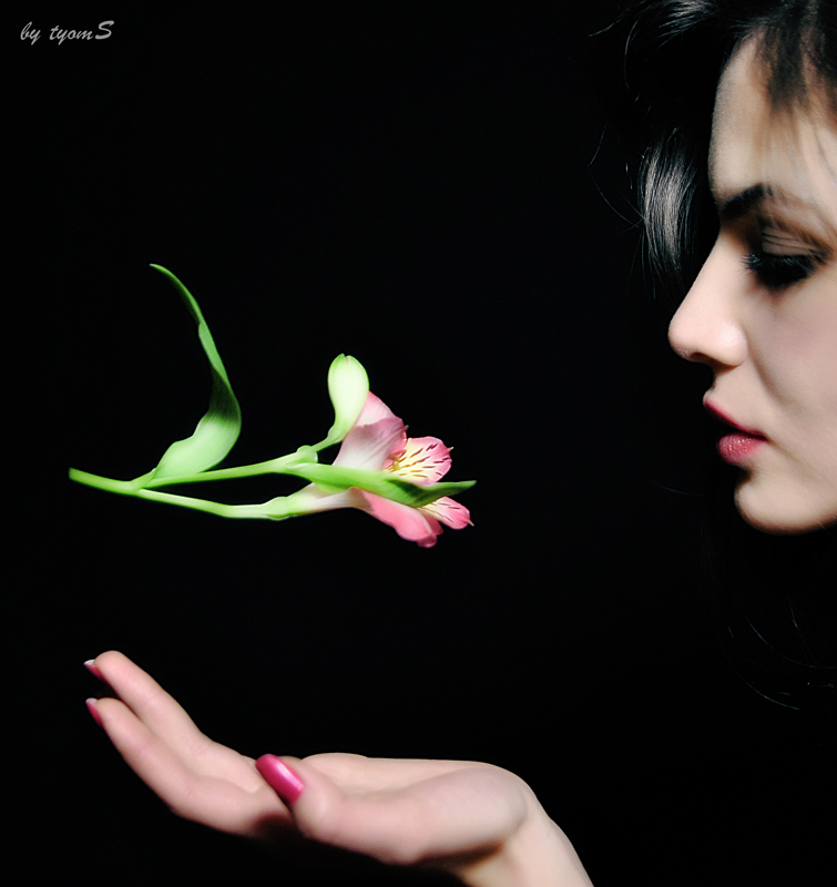 © Artyom(TyomS) Harutyunyan - Just a Flower