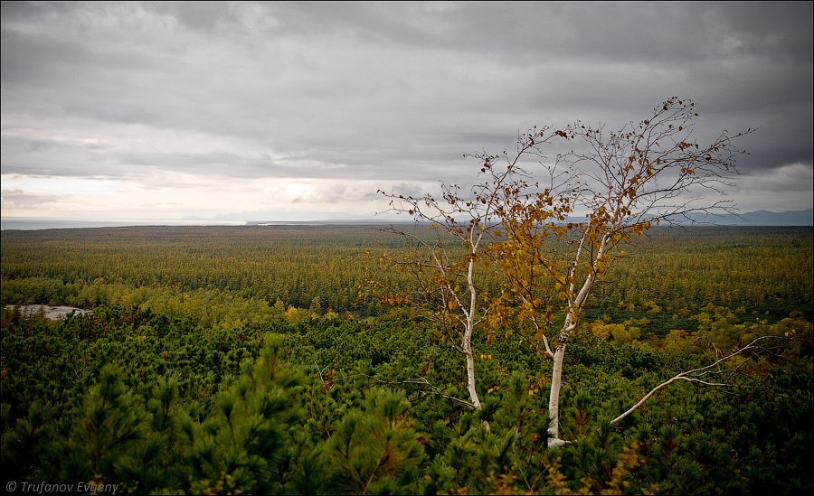 © Evgeny Trufanov - september coming..