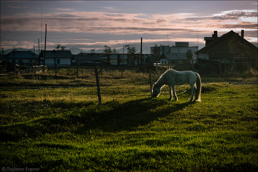 © Evgeny Trufanov - ..evening