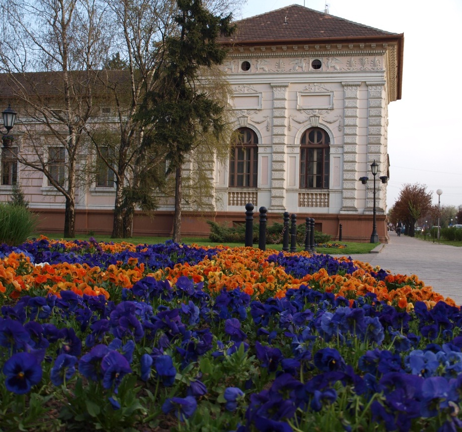 © Andrea Horváth - City Hall