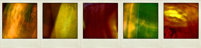 © Jean-Francois Dupuis - polaroids