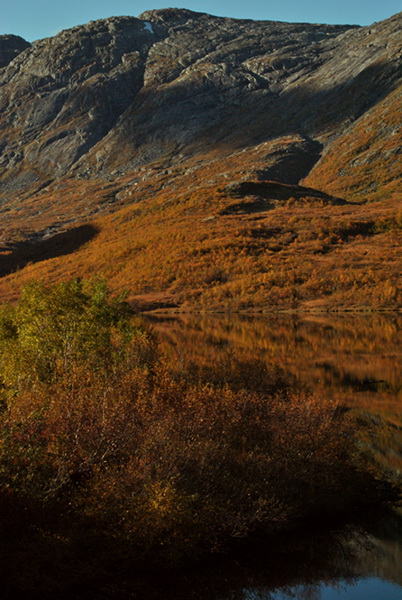 © Ronny Hansen - autumn reflection