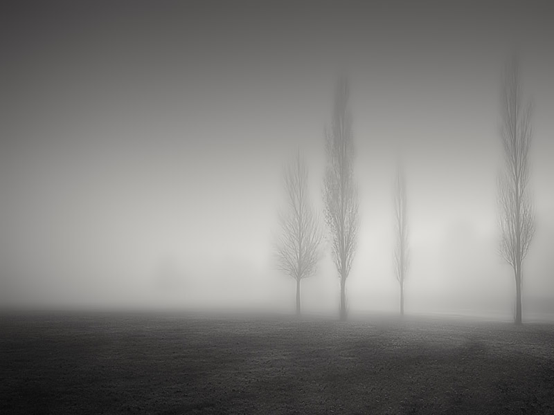© philip mckay - morning fog