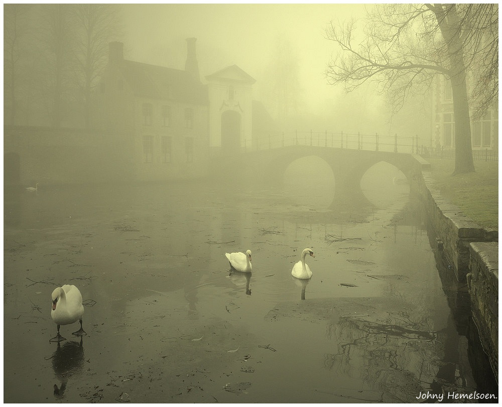 © johny hemelsoen - Foggy morning.