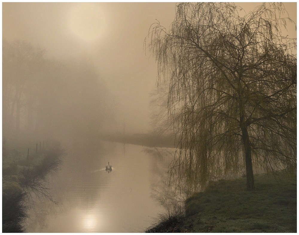 © johny hemelsoen - This morning.