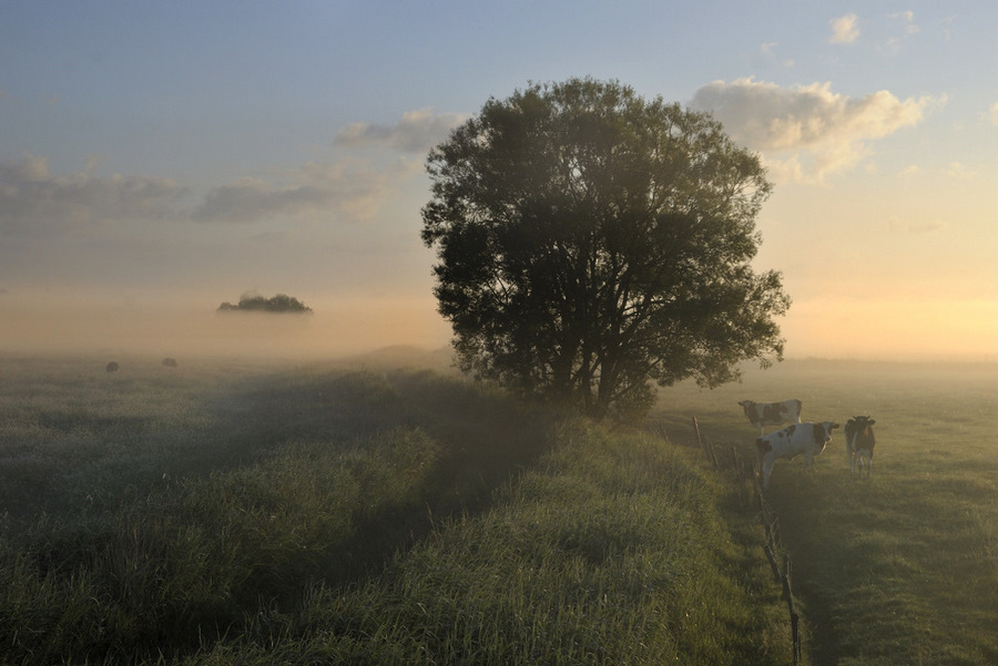 © johny hemelsoen - This morning.